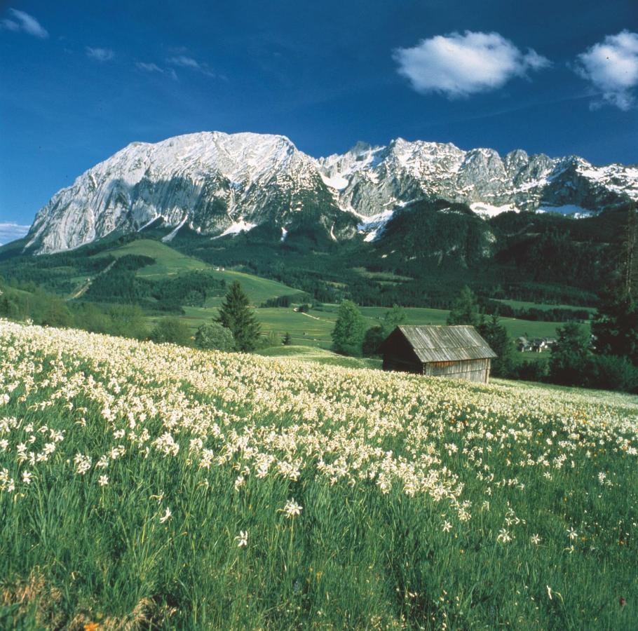 Appartamento Schusterbauernhof Bad Mitterndorf Esterno foto