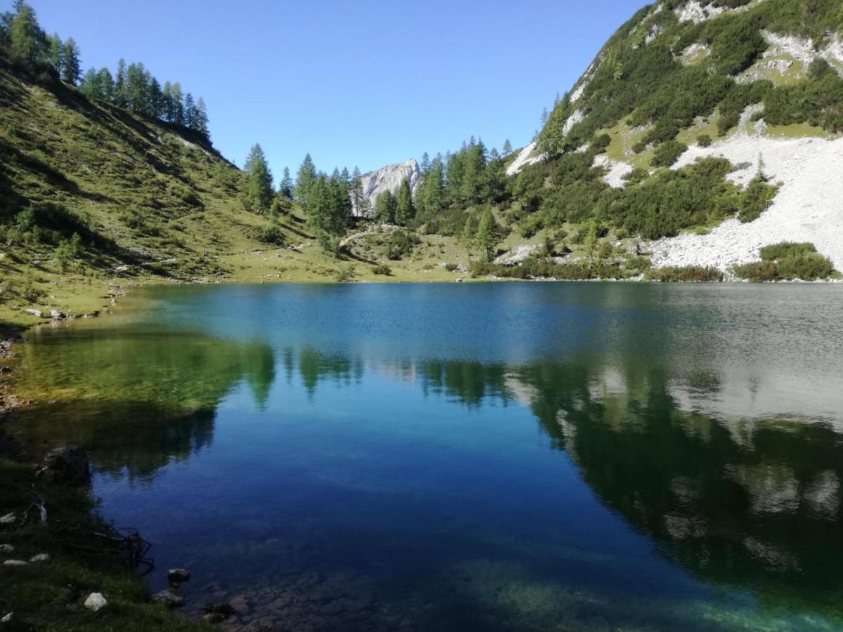 Appartamento Schusterbauernhof Bad Mitterndorf Esterno foto
