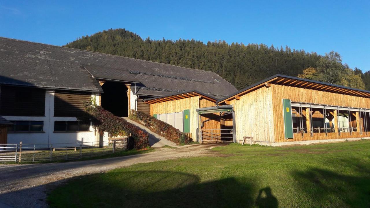 Appartamento Schusterbauernhof Bad Mitterndorf Esterno foto